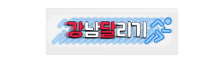 강남달리기